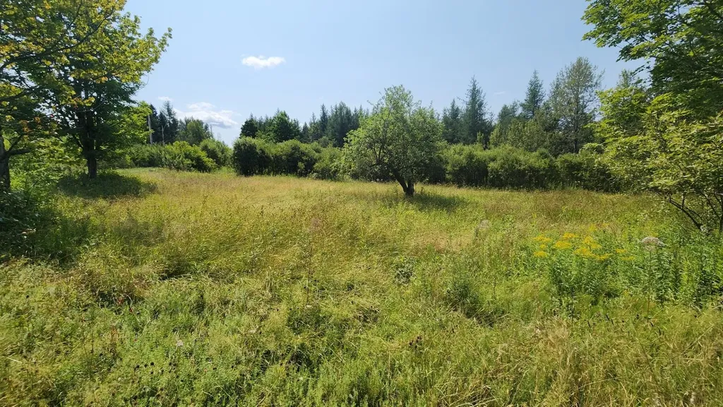 2068 Morgan Charleston Road Morgan VT 05853