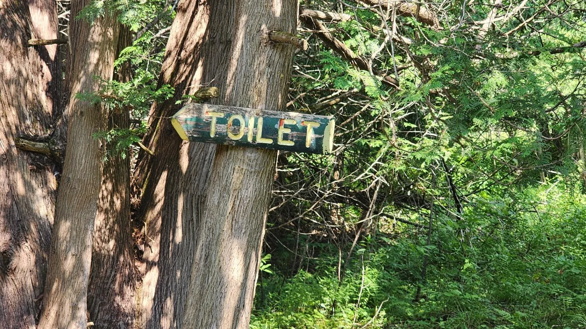 2068 Morgan Charleston Road Morgan VT 05853