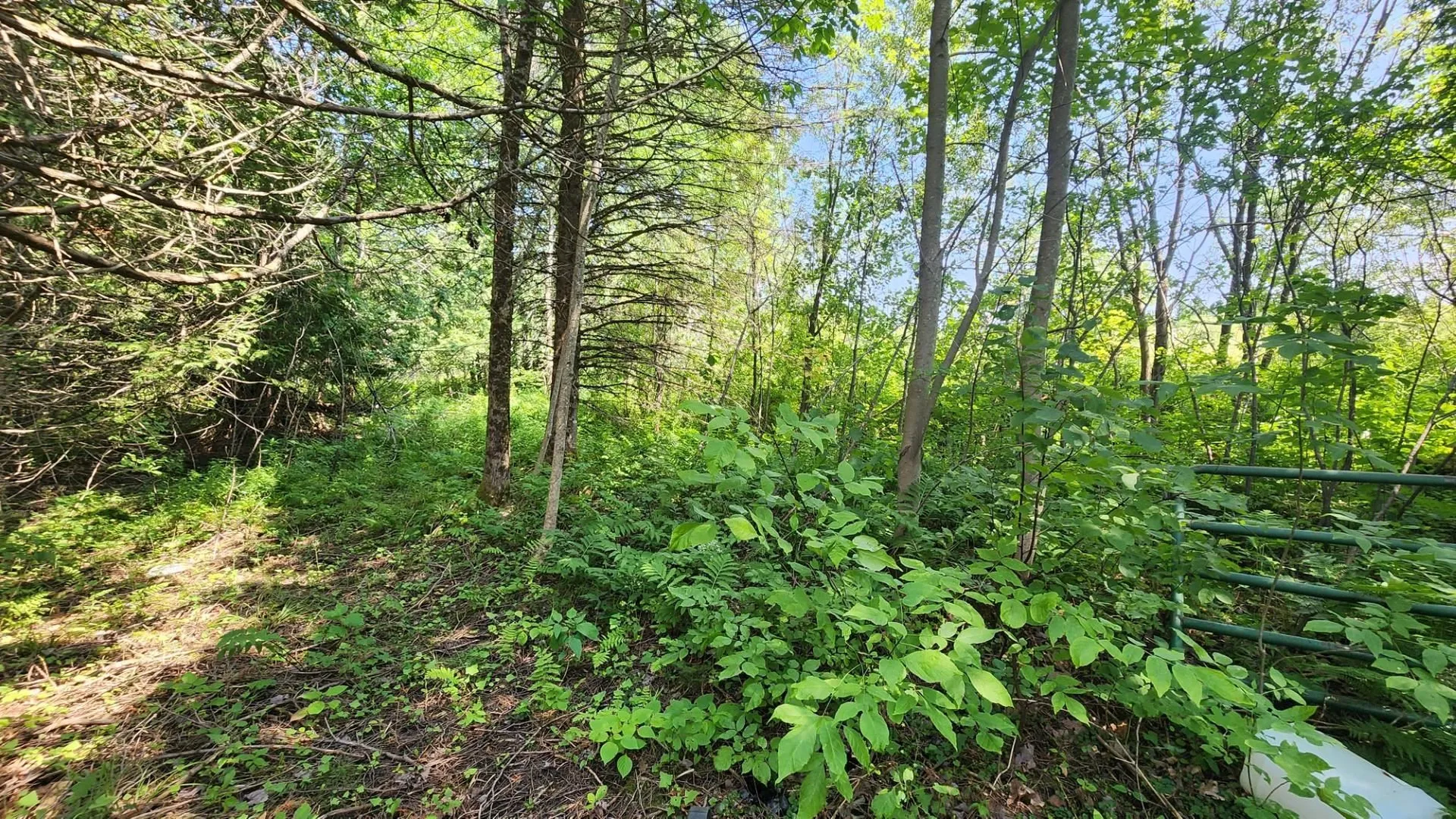 2068 Morgan Charleston Road Morgan VT 05853