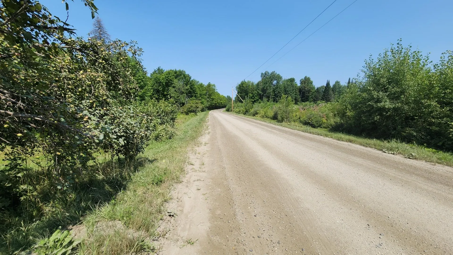 2068 Morgan Charleston Road Morgan VT 05853