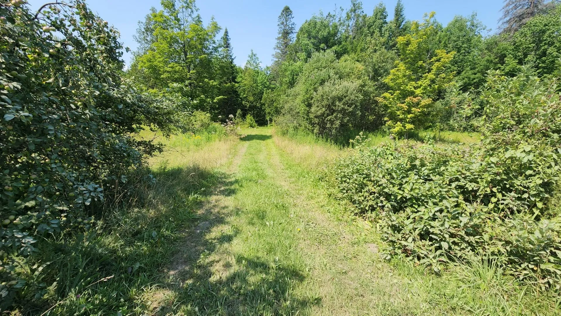 2068 Morgan Charleston Road Morgan VT 05853