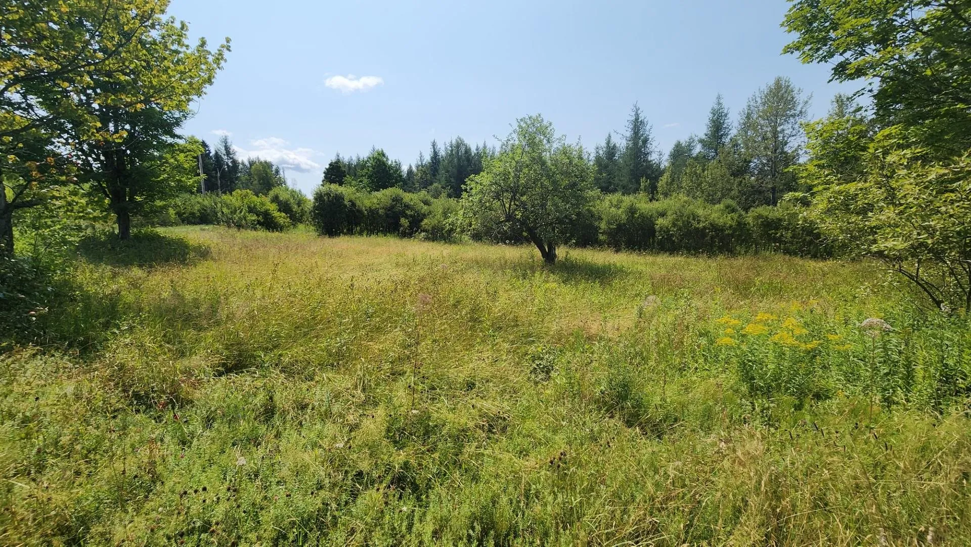 2068 Morgan Charleston Road Morgan VT 05853