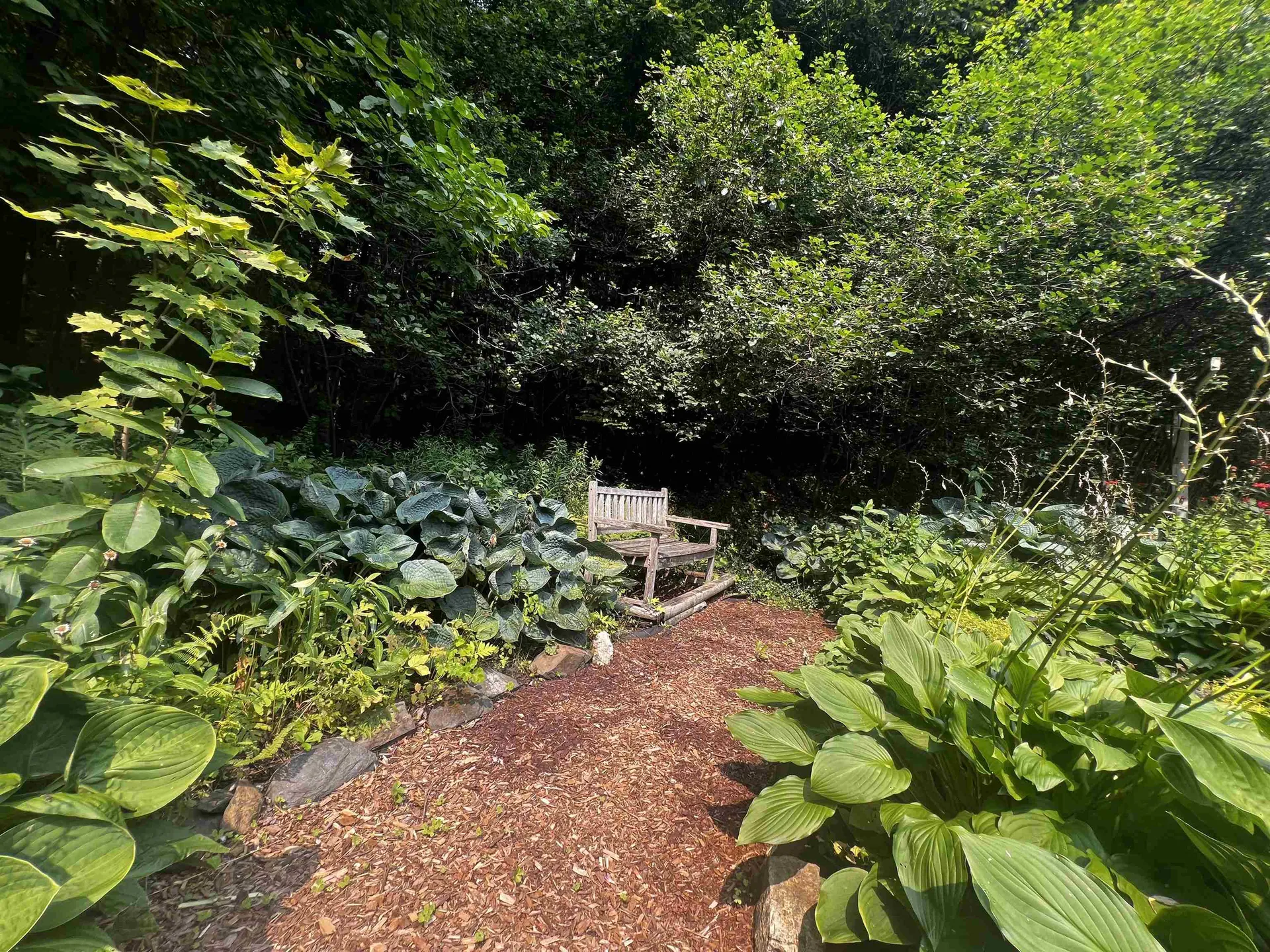 390 Zabarsky Road St. Johnsbury VT 05819