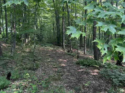 390 Zabarsky Road St. Johnsbury VT 05819