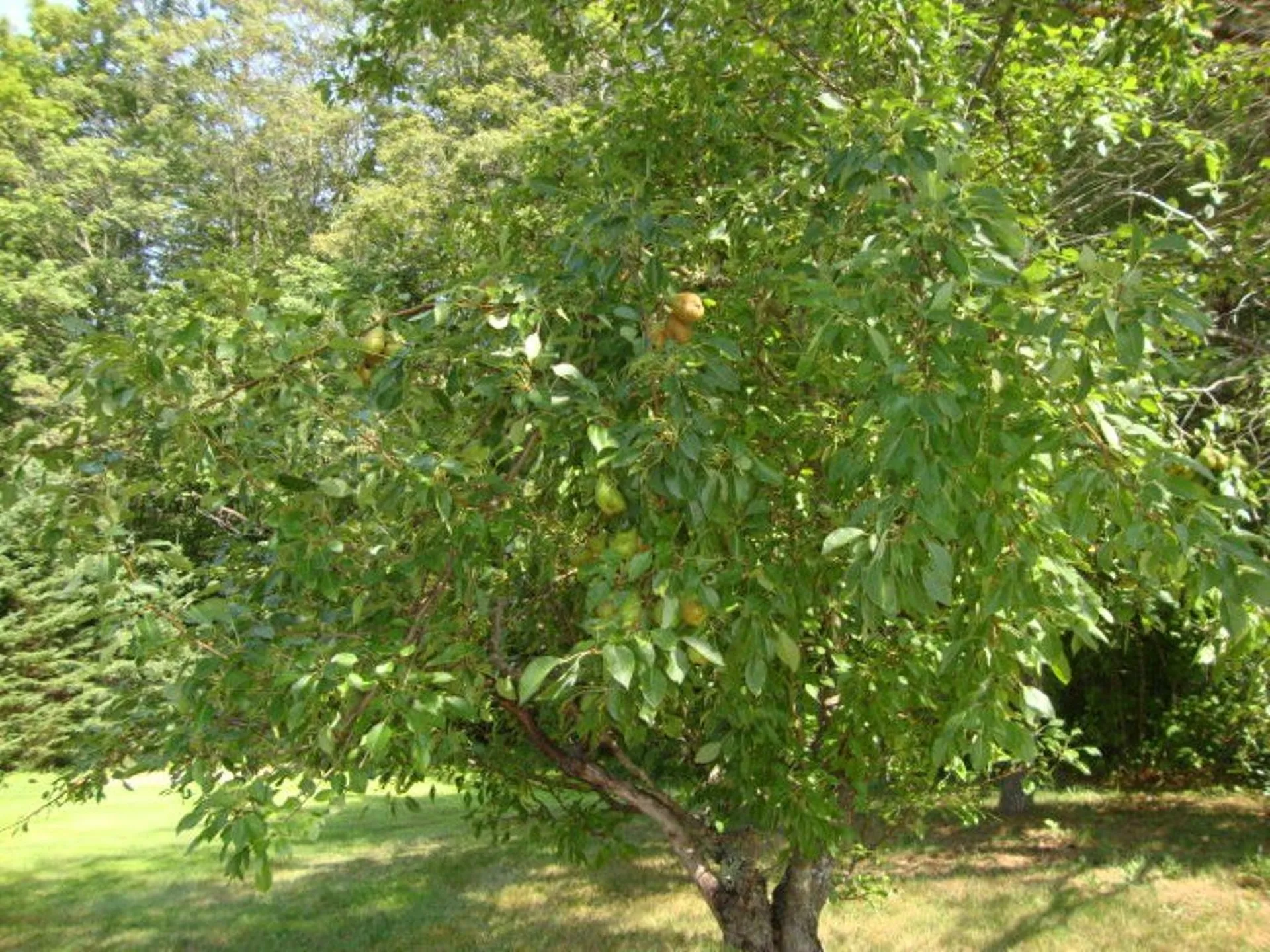 992 Route 120 Plainfield NH 03770