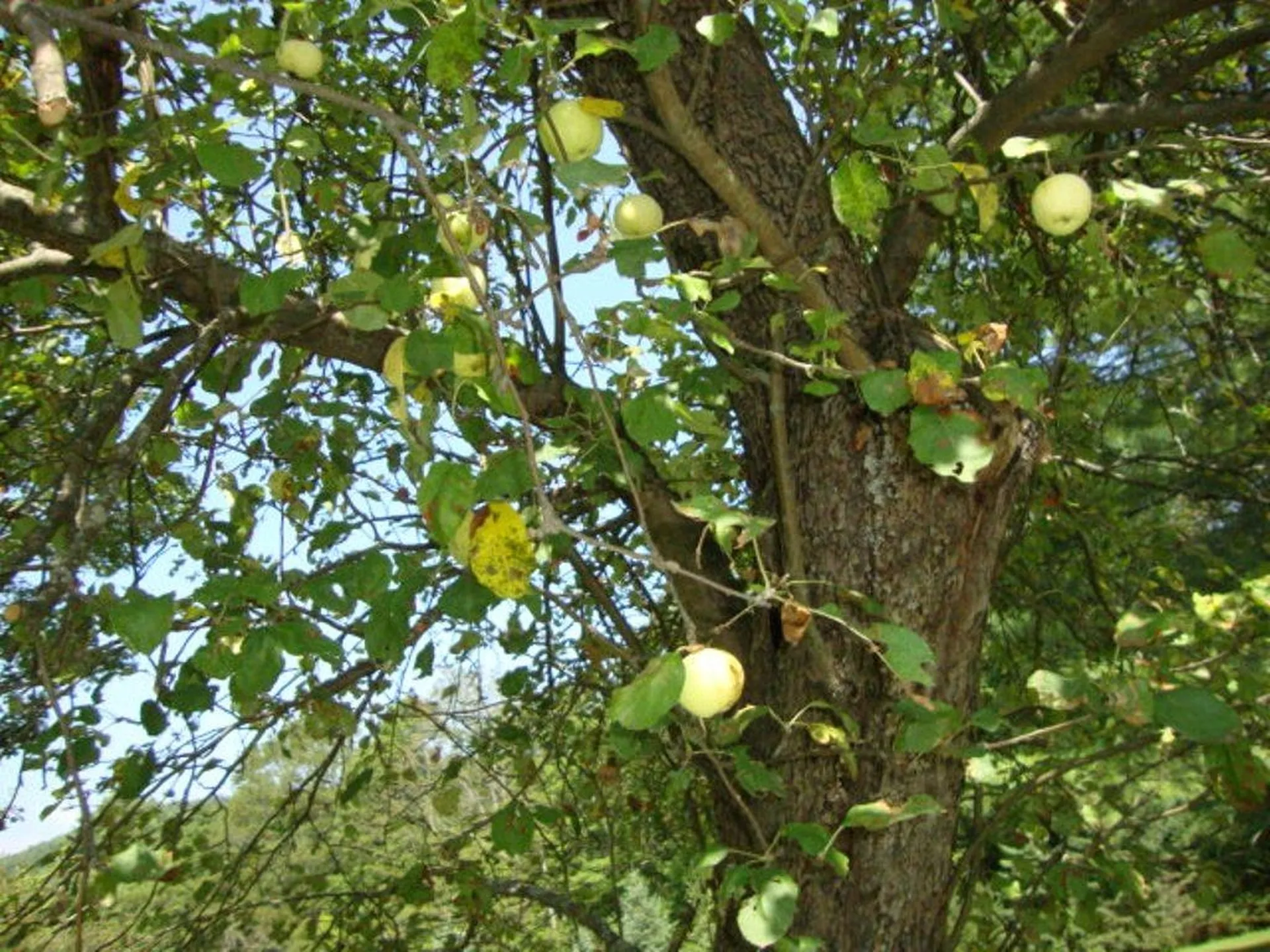 992 Route 120 Plainfield NH 03770