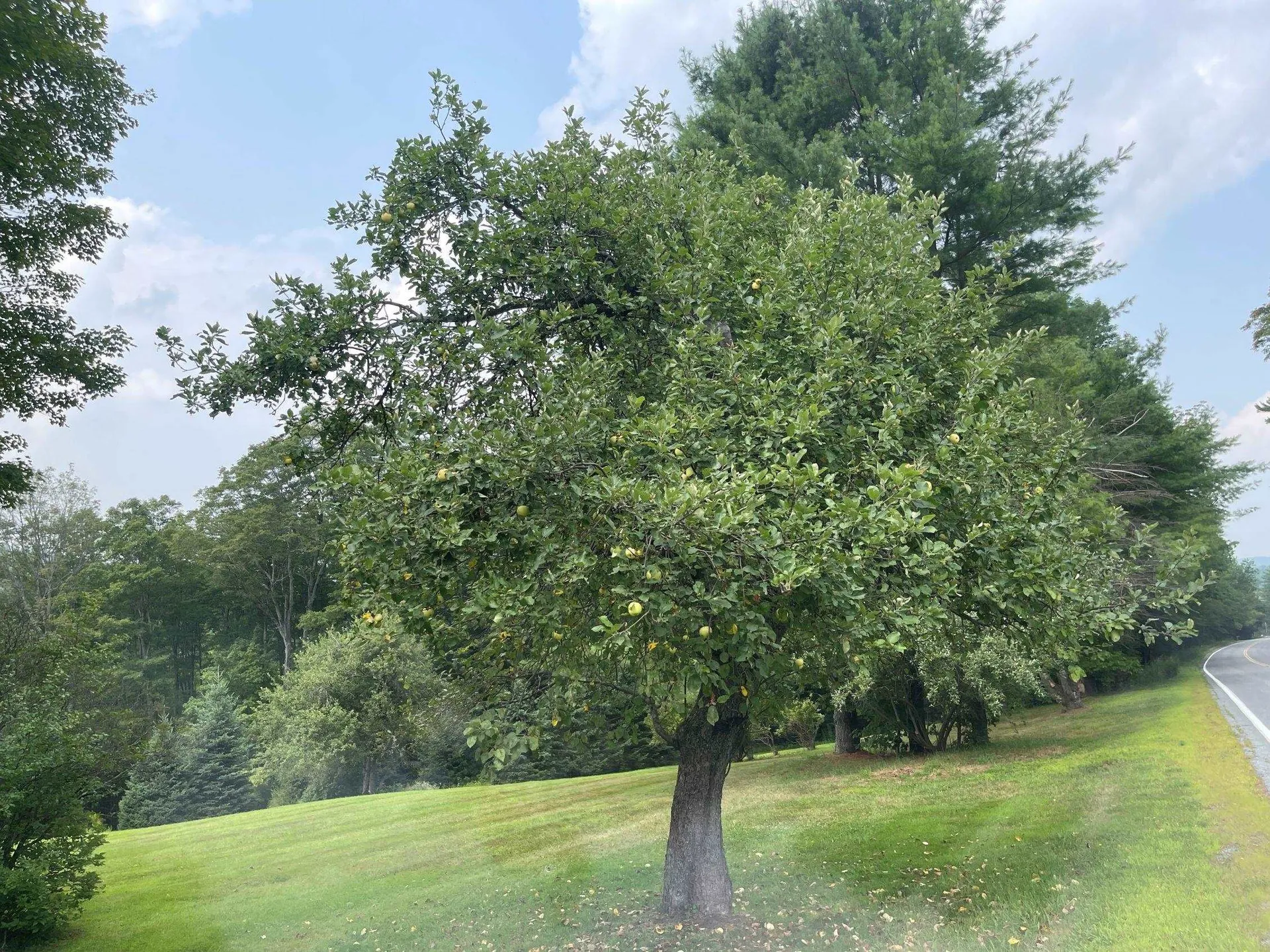 992 Route 120 Plainfield NH 03770