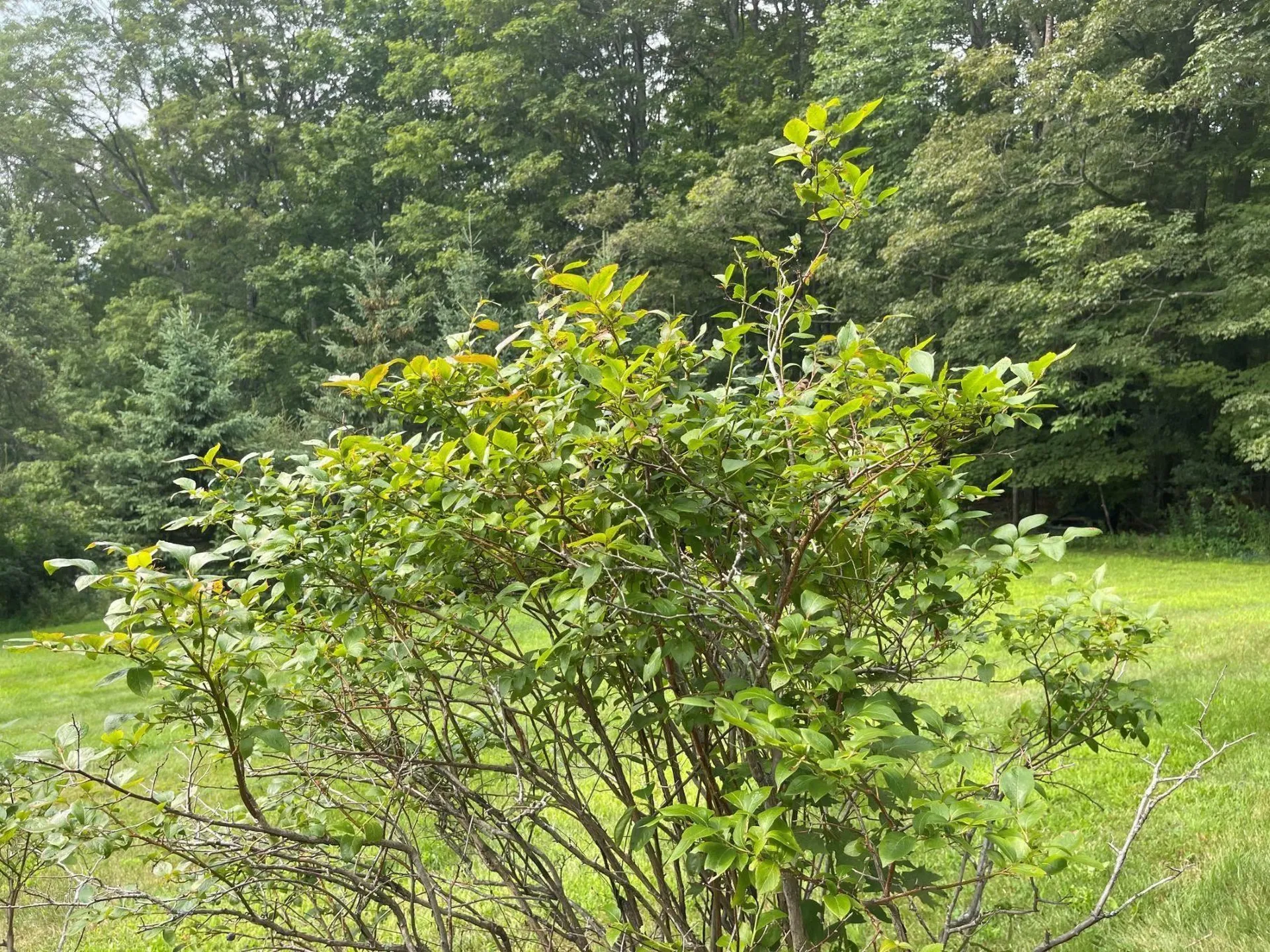 992 Route 120 Plainfield NH 03770