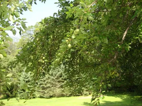 992 Route 120 Plainfield NH 03770