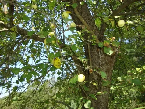 992 Route 120 Plainfield NH 03770