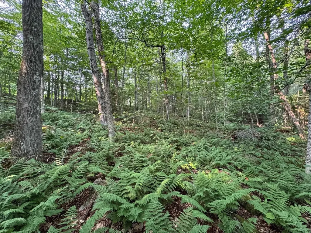 64 Bergblume Circle Stamford VT 05352