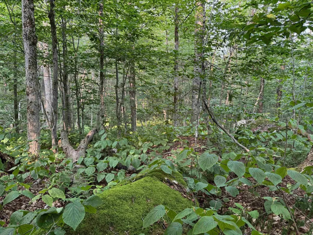 64 Bergblume Circle Stamford VT 05352