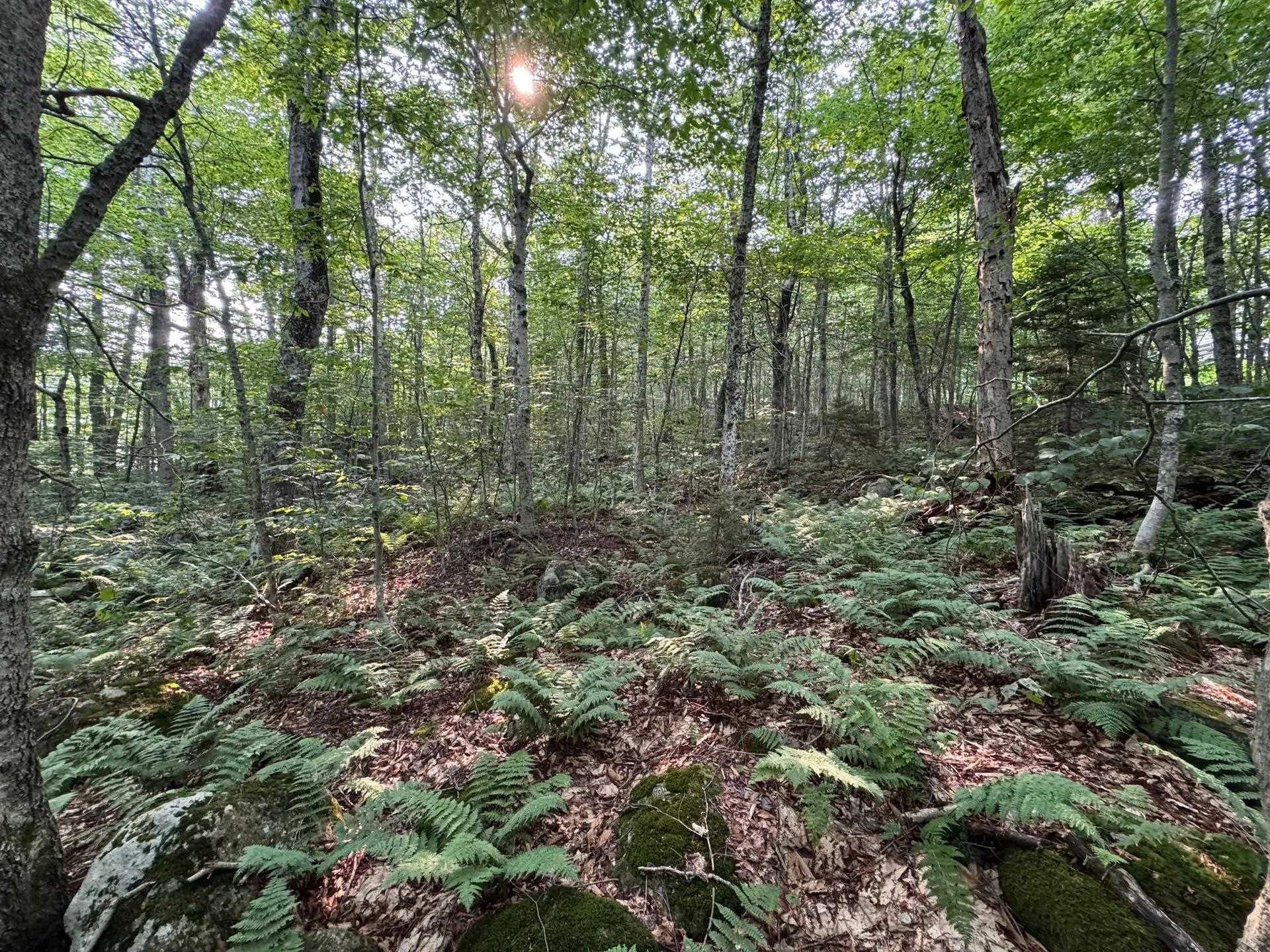 64 Bergblume Circle Stamford VT 05352