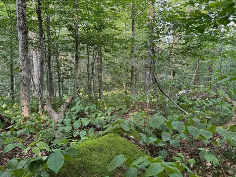 64 Bergblume Circle Stamford VT 05352