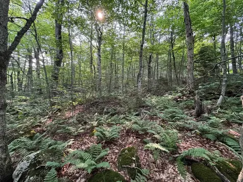 64 Bergblume Circle Stamford VT 05352