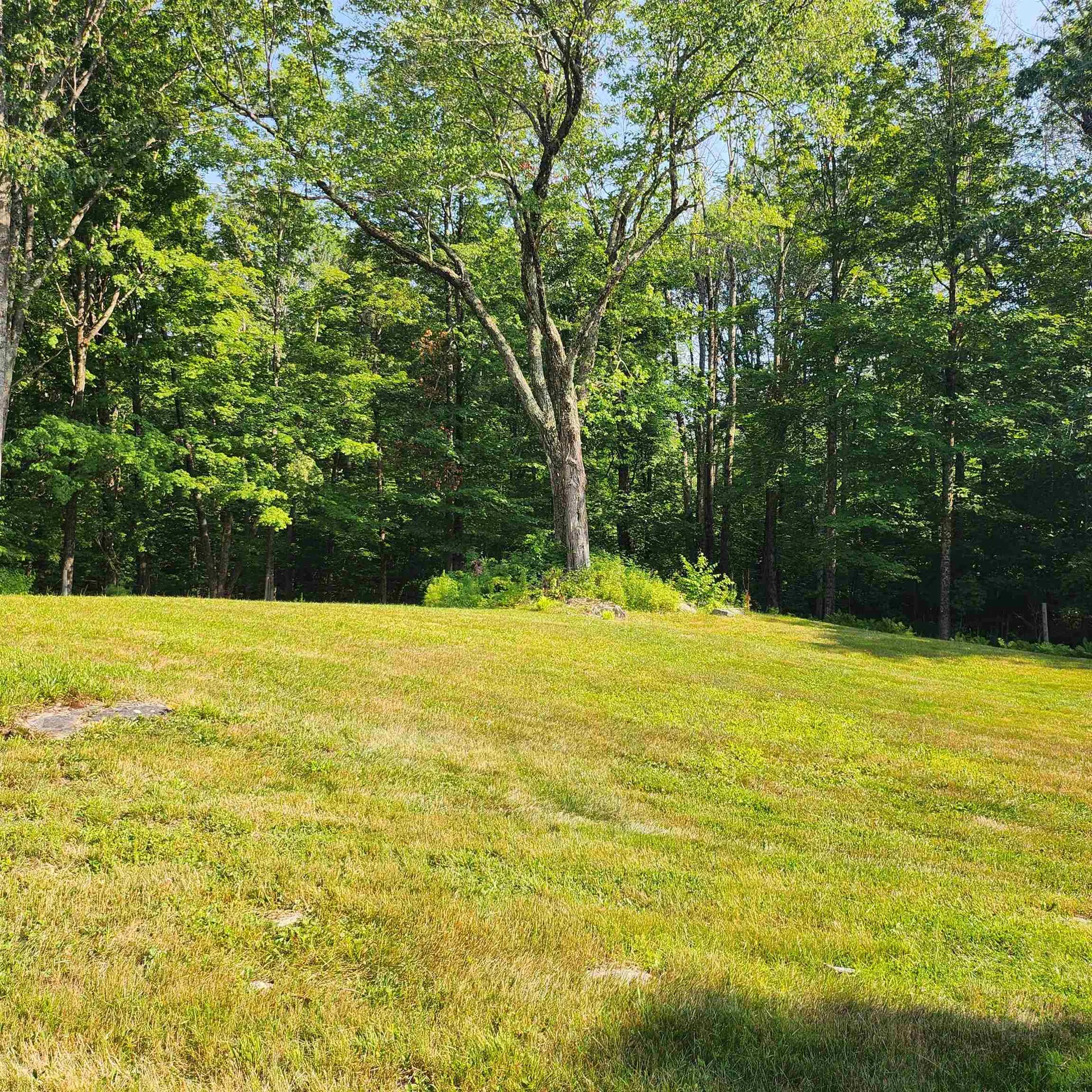 153 Mooseview Drive Brookfield NH 03872