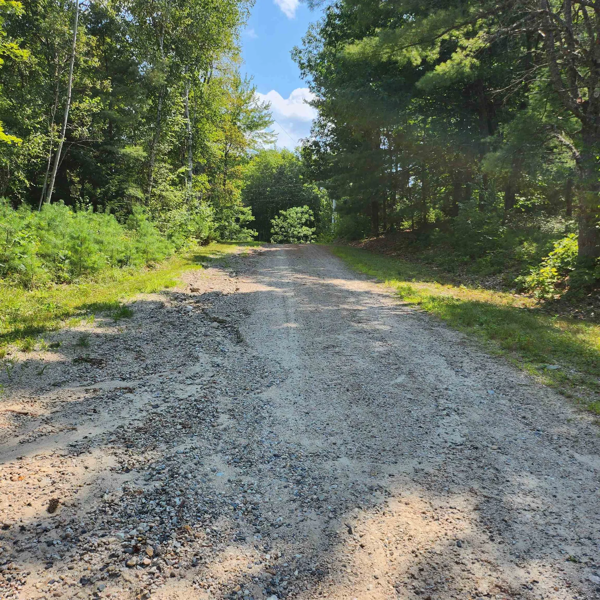 153 Mooseview Drive Brookfield NH 03872