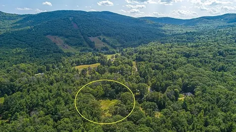 153 Mooseview Drive Brookfield NH 03872