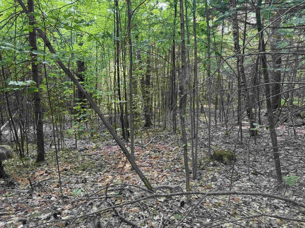 190 Circuit Road Ossipee NH 03864