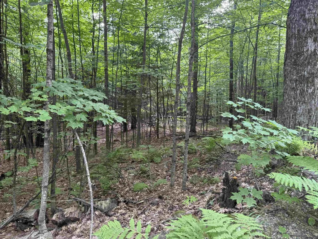 190 Circuit Road Ossipee NH 03864