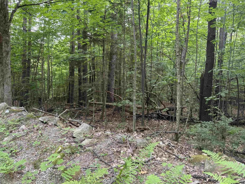 190 Circuit Road Ossipee NH 03864