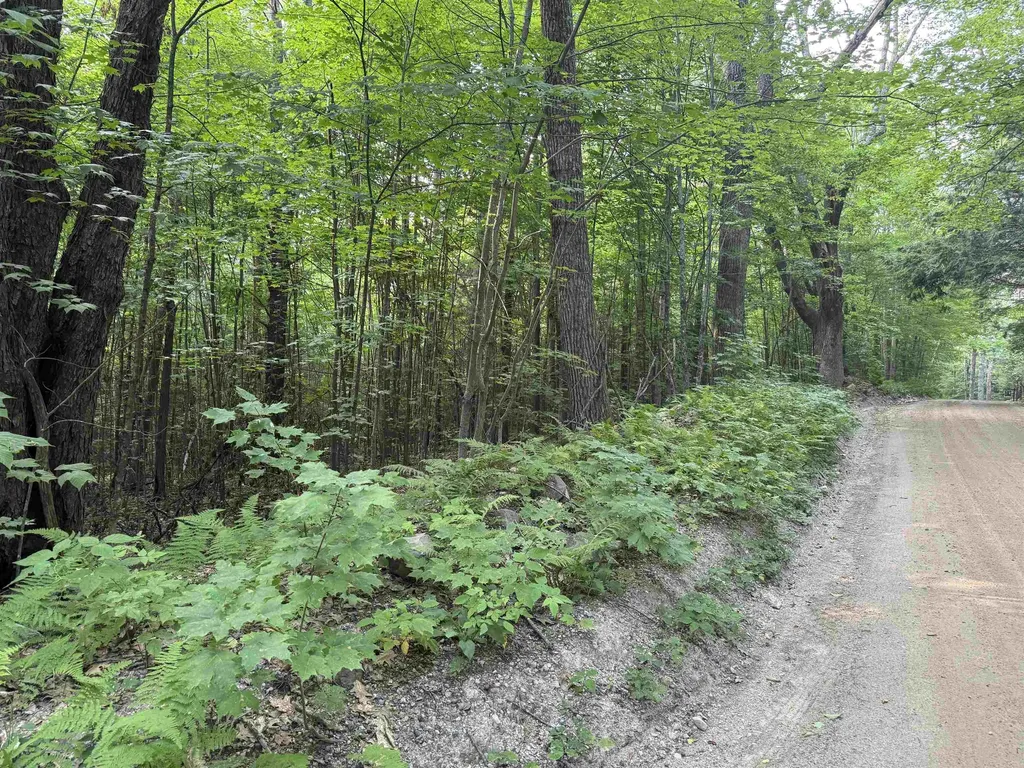 190 Circuit Road Ossipee NH 03864