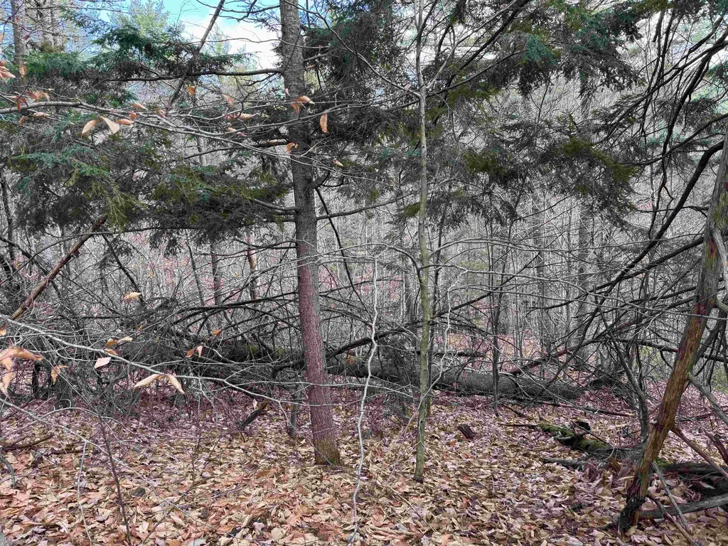 190 Circuit Road Ossipee NH 03864