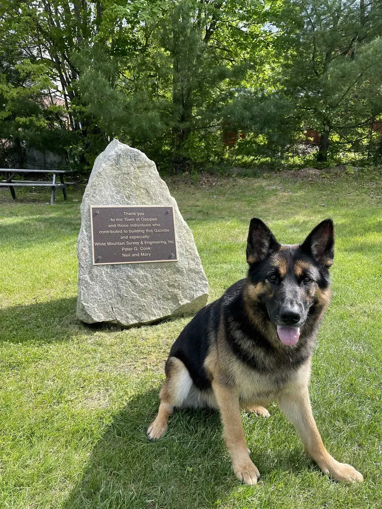 190 Circuit Road Ossipee NH 03864