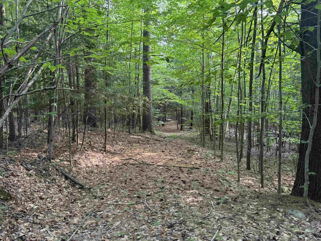 190 Circuit Road Ossipee NH 03864