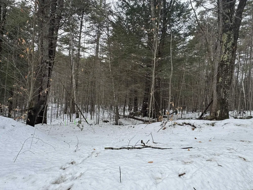 190 Circuit Road Ossipee NH 03864