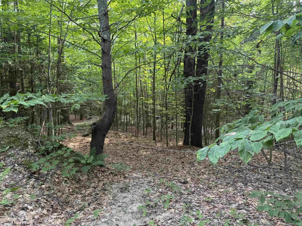 190 Circuit Road Ossipee NH 03864