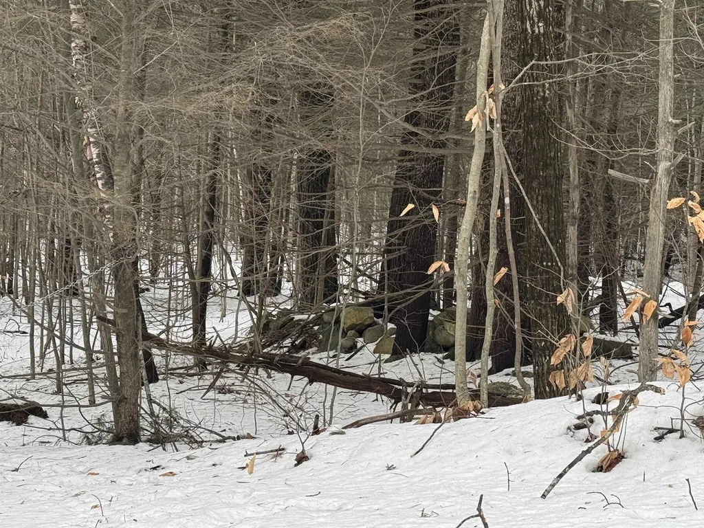 190 Circuit Road Ossipee NH 03864