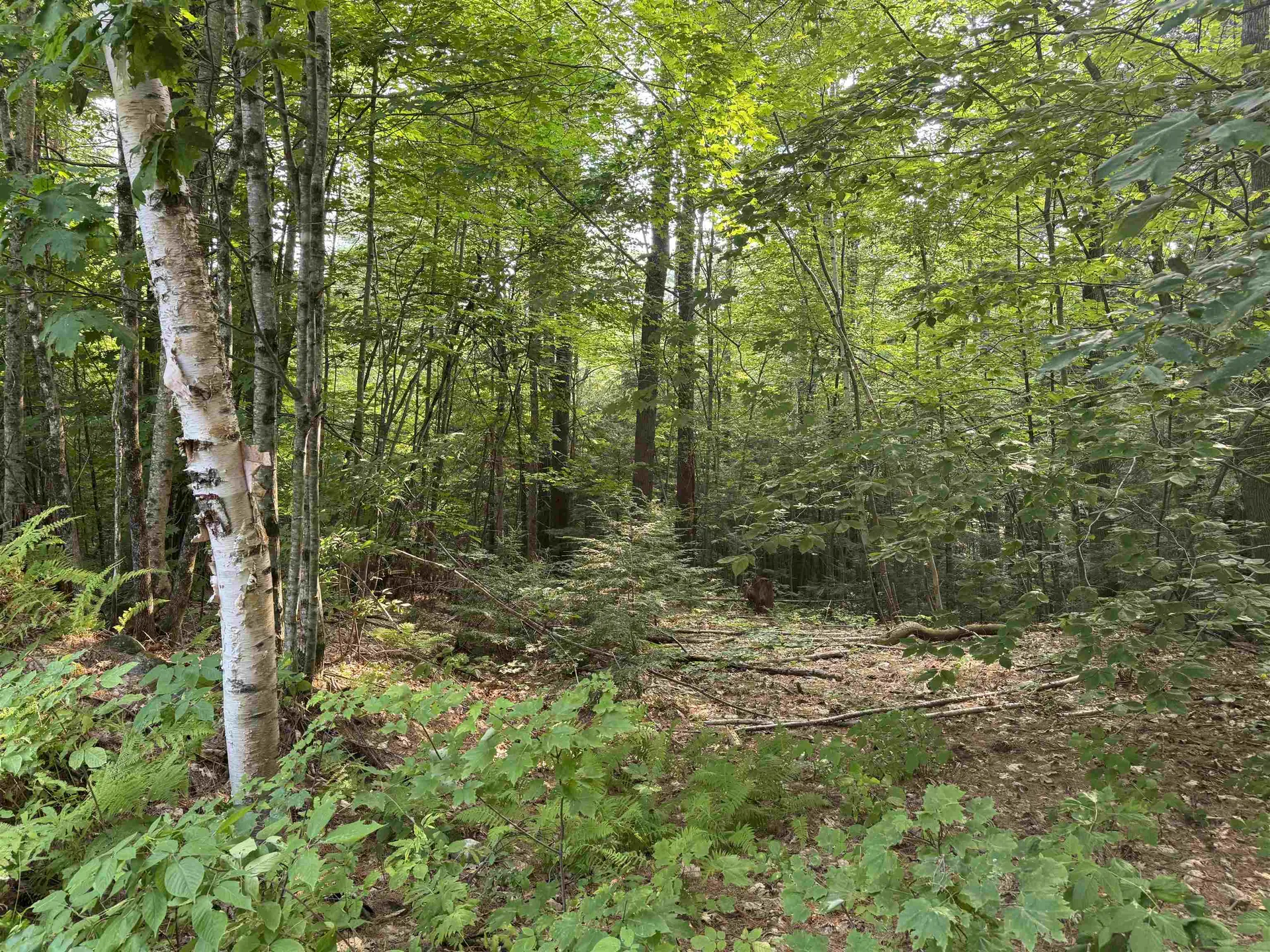 190 Circuit Road Ossipee NH 03864