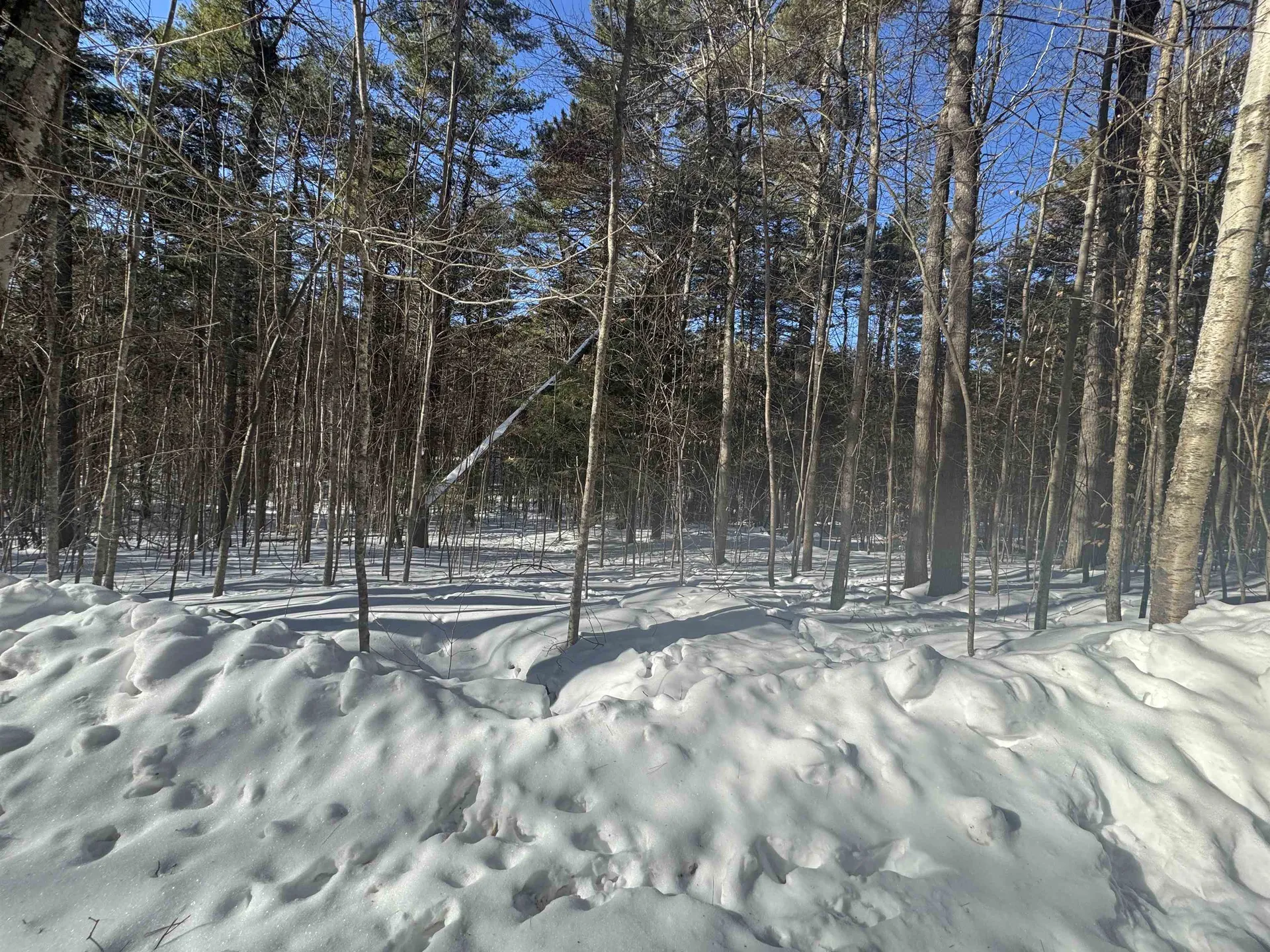 190 Circuit Road Ossipee NH 03864