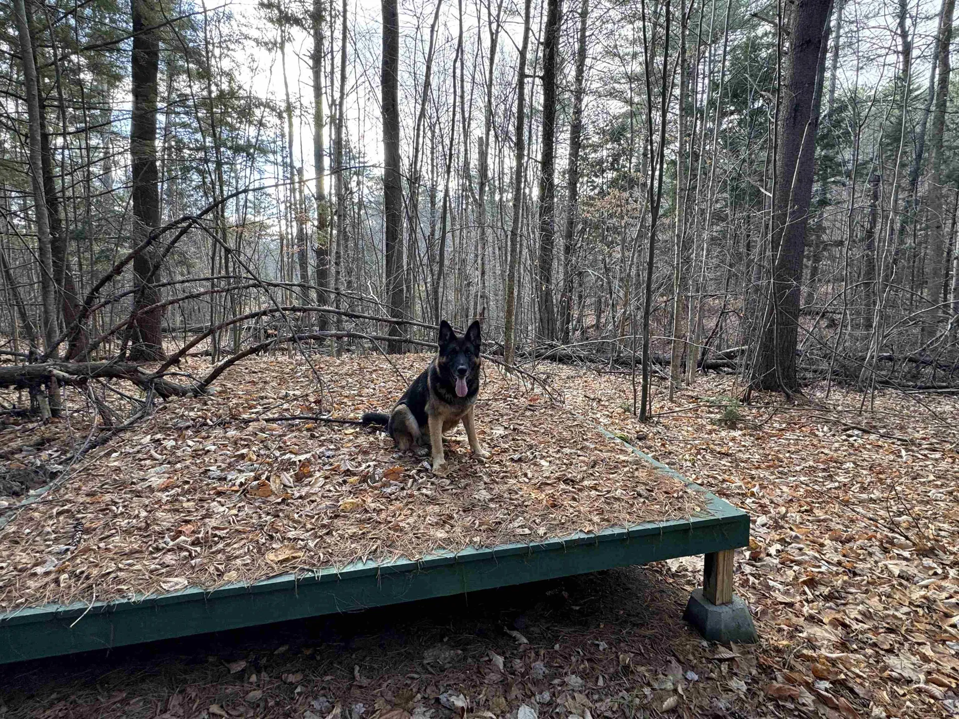 190 Circuit Road Ossipee NH 03864