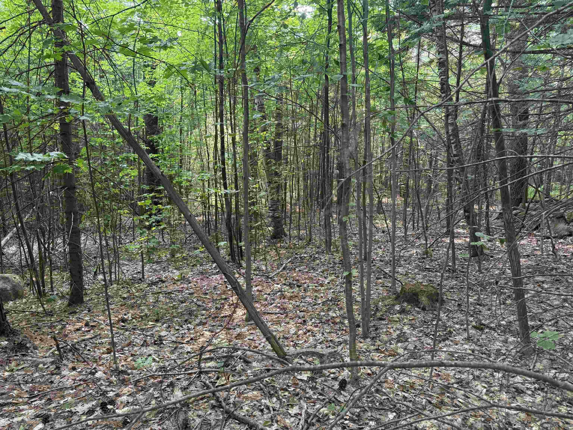 190 Circuit Road Ossipee NH 03864