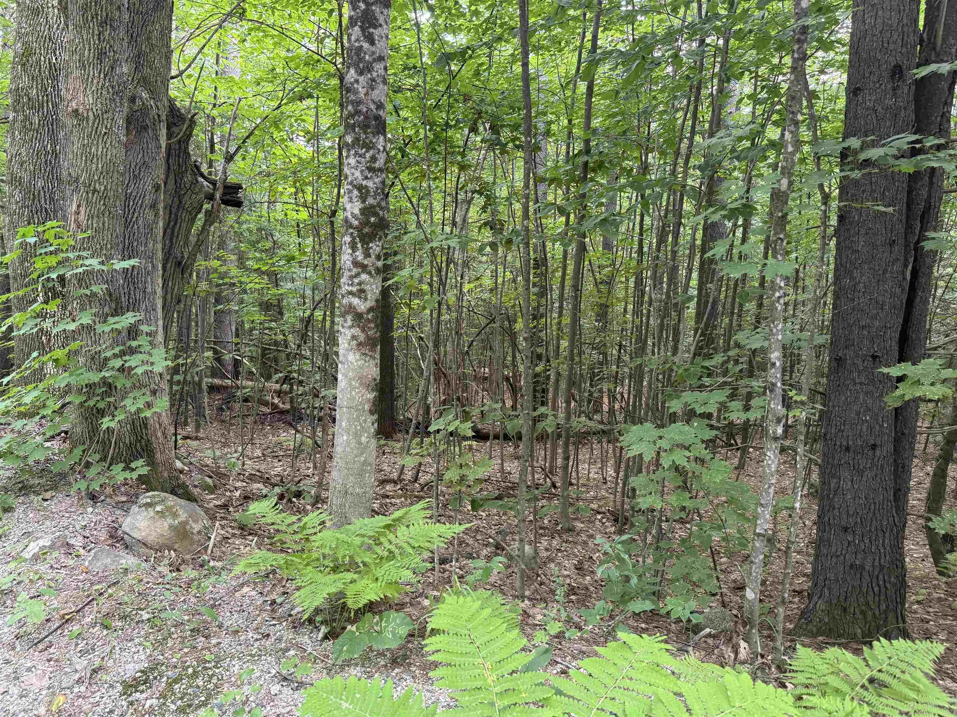 190 Circuit Road Ossipee NH 03864