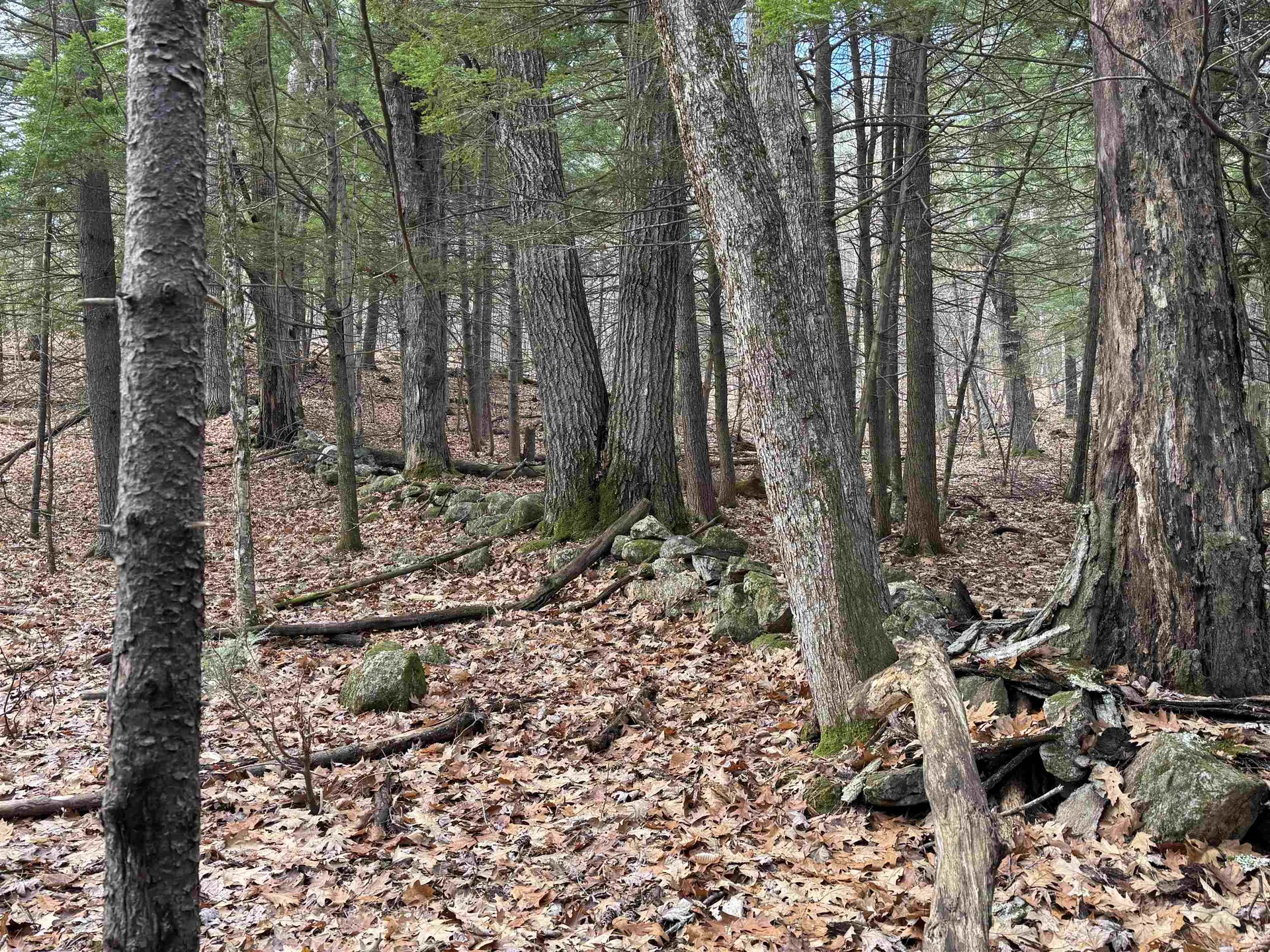 190 Circuit Road Ossipee NH 03864