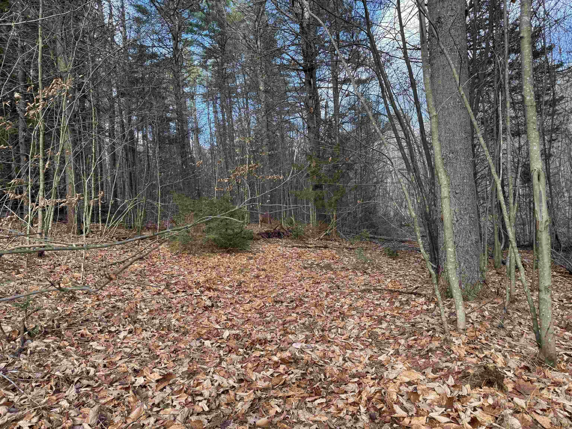 190 Circuit Road Ossipee NH 03864