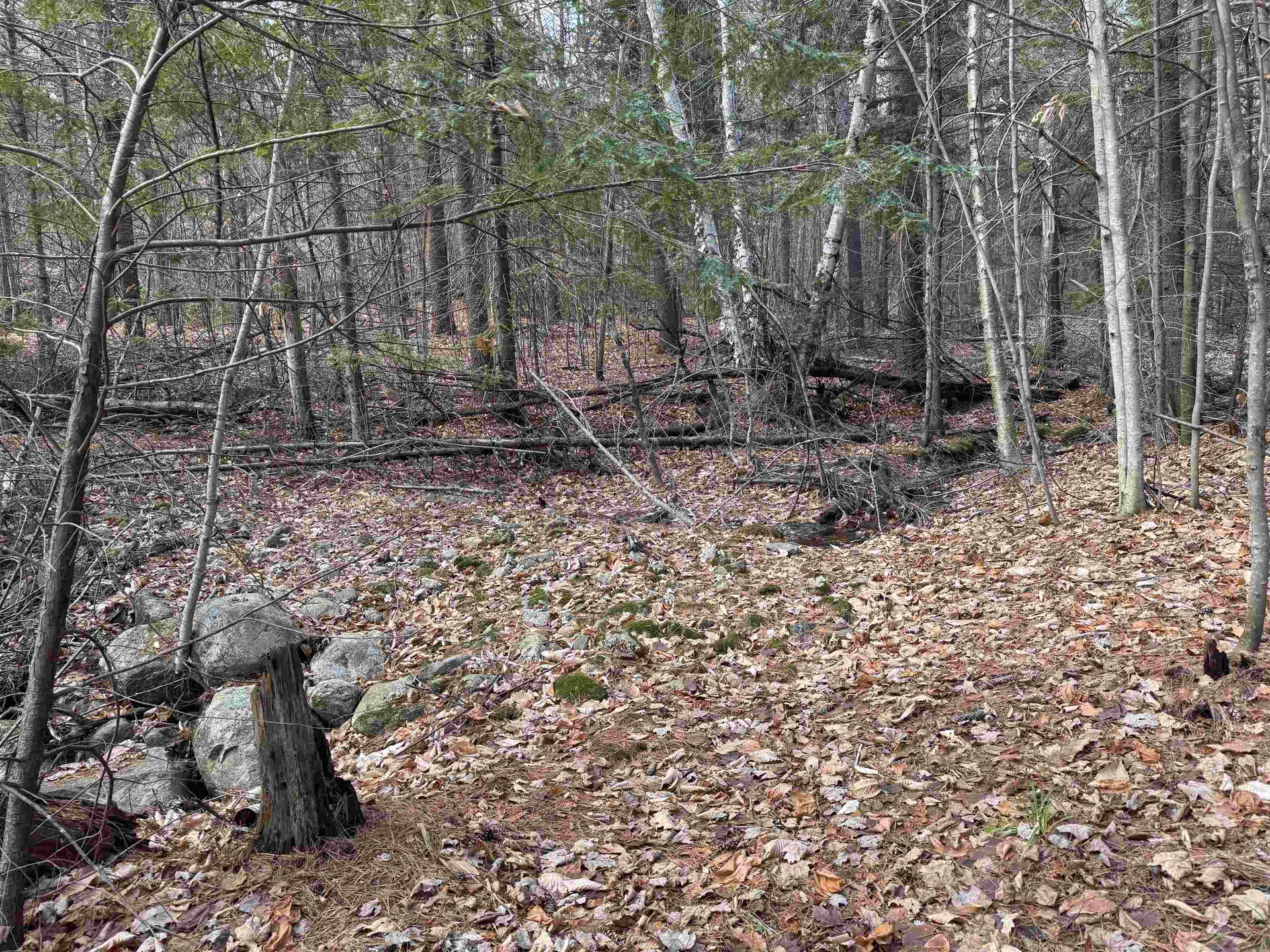 190 Circuit Road Ossipee NH 03864