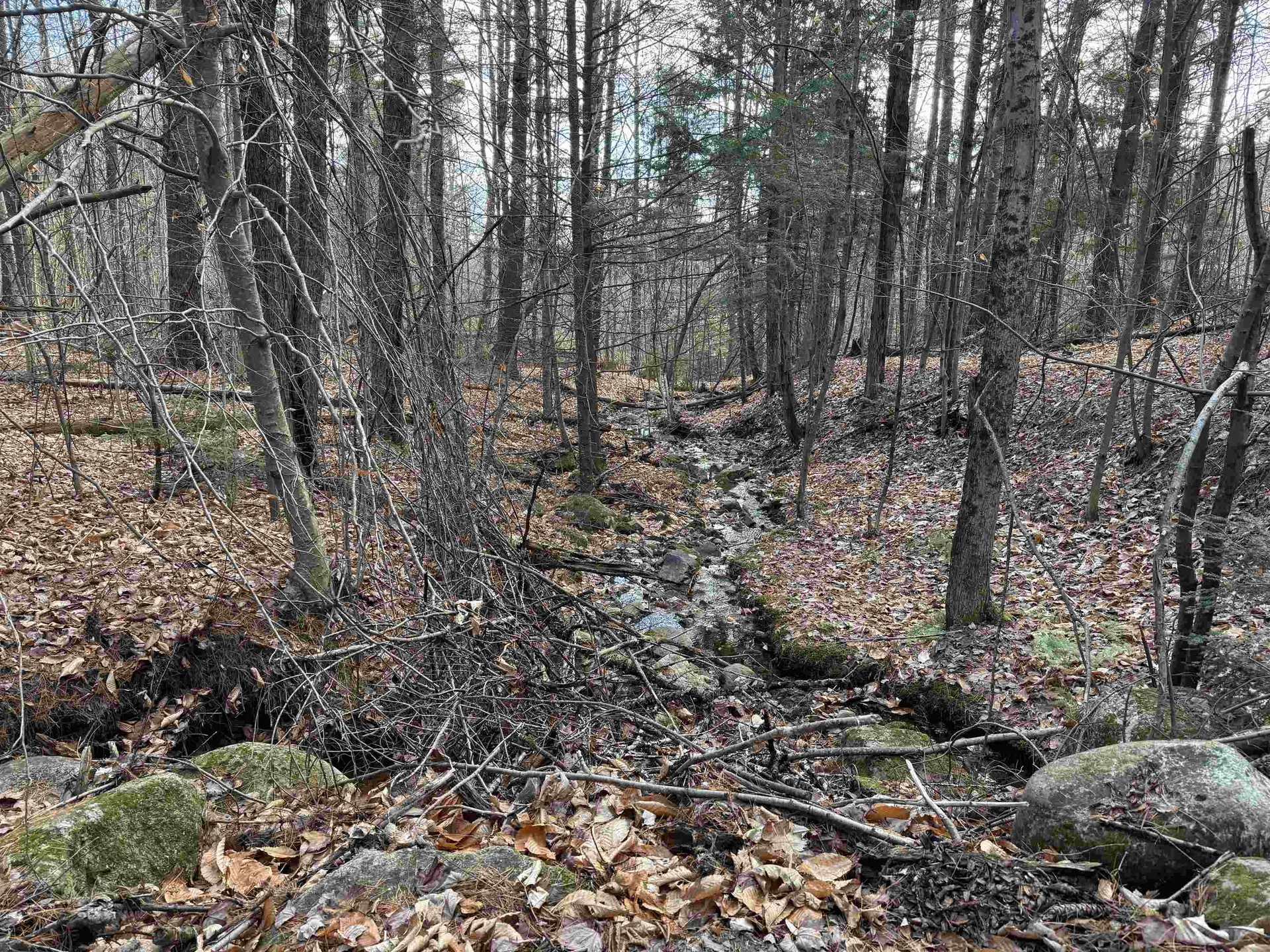 190 Circuit Road Ossipee NH 03864