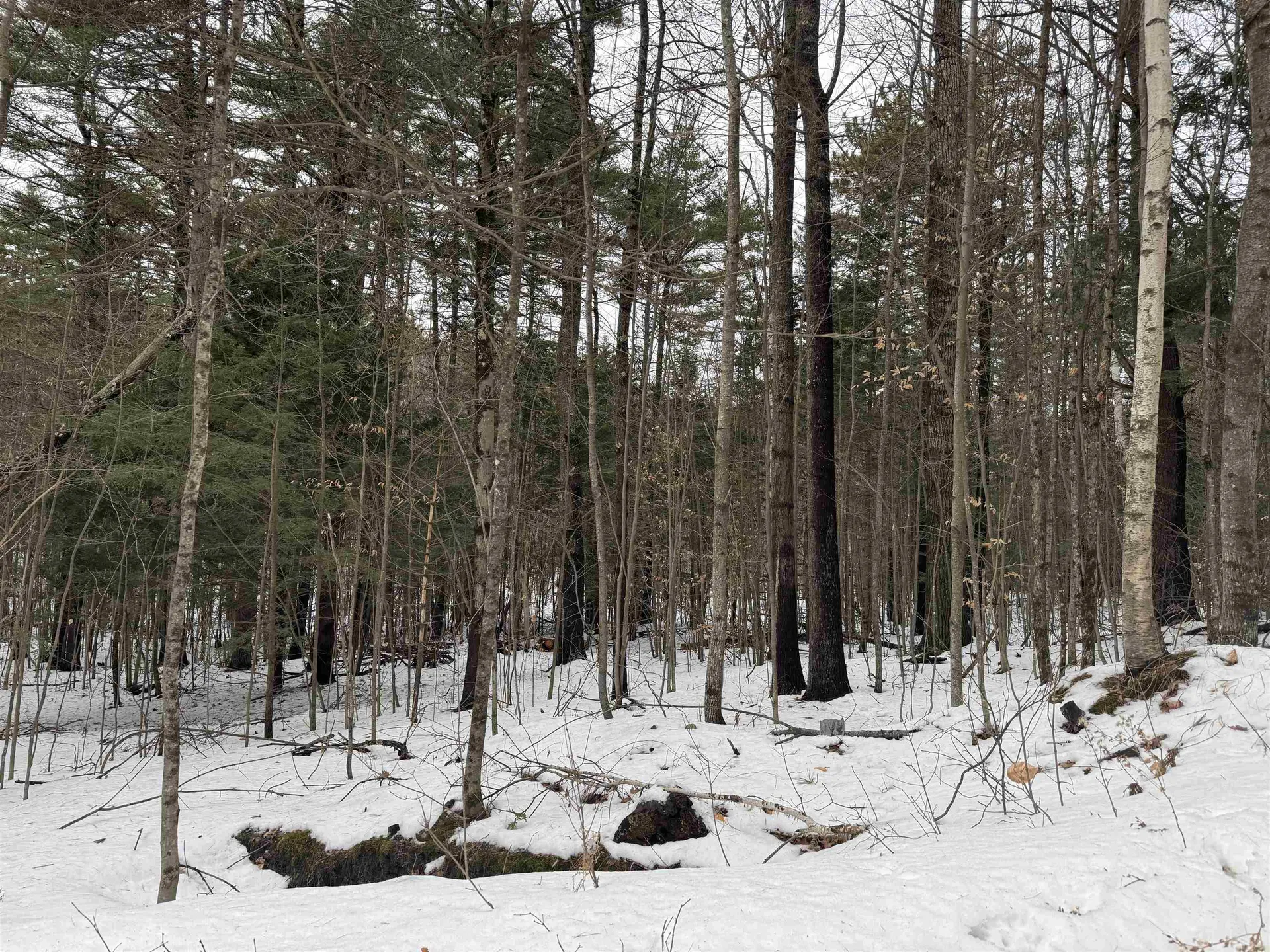 190 Circuit Road Ossipee NH 03864