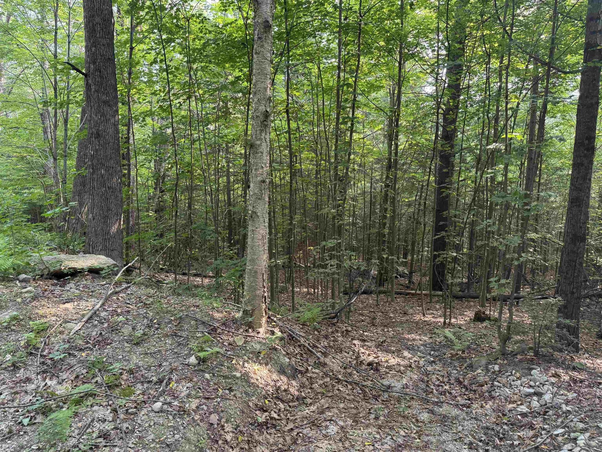 190 Circuit Road Ossipee NH 03864