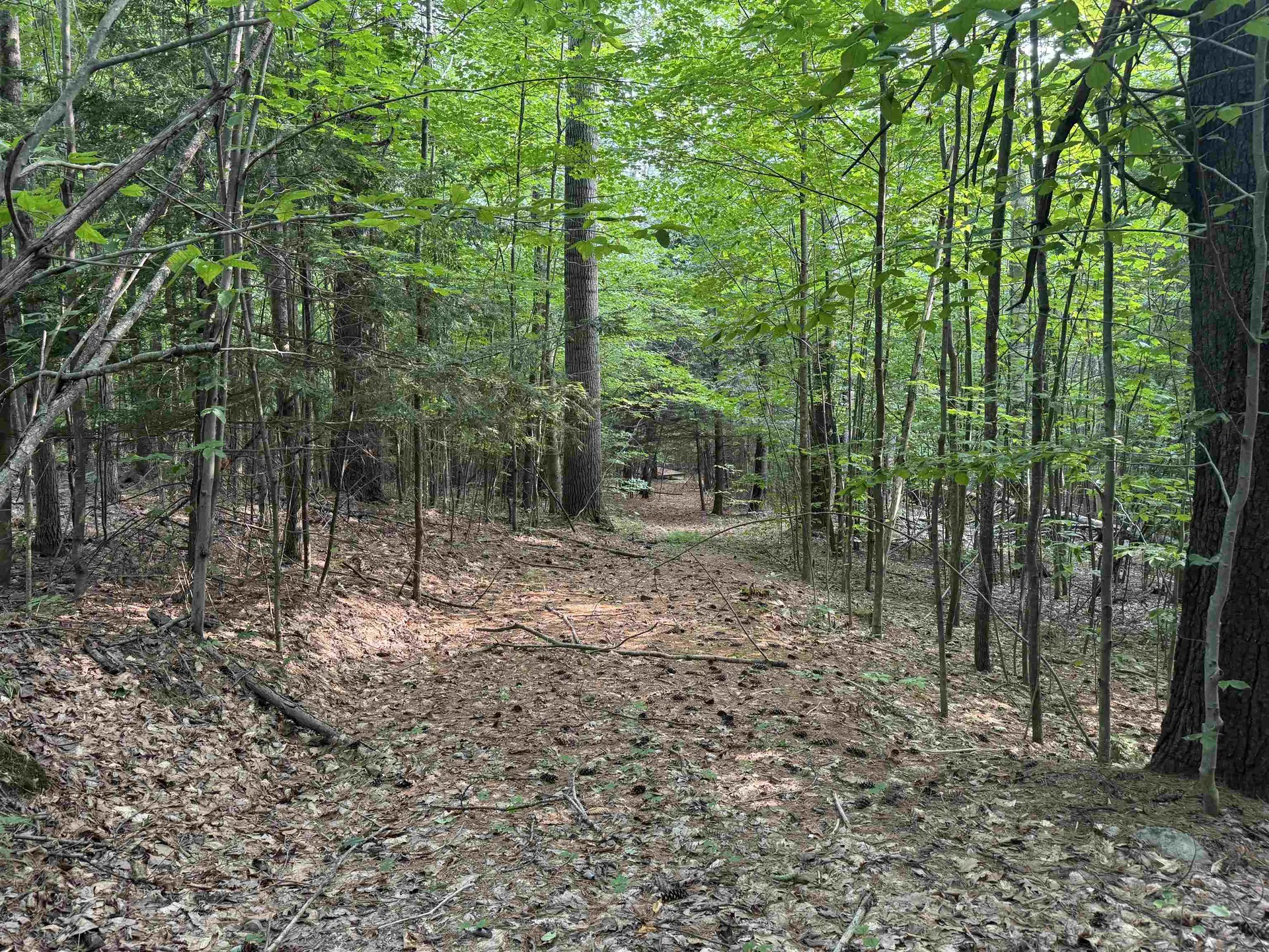 190 Circuit Road Ossipee NH 03864