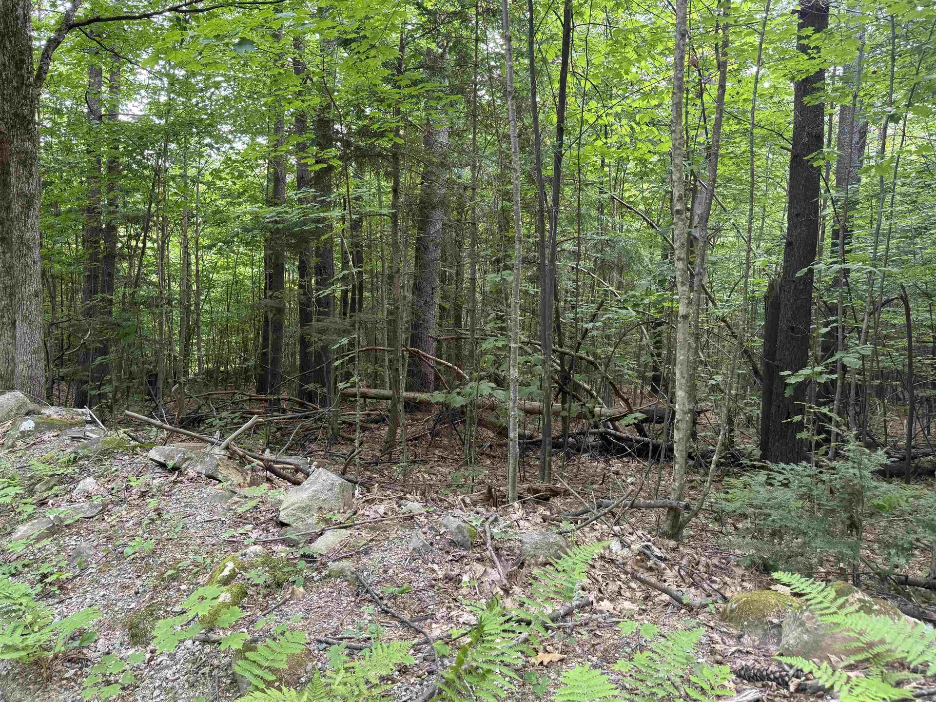 190 Circuit Road Ossipee NH 03864