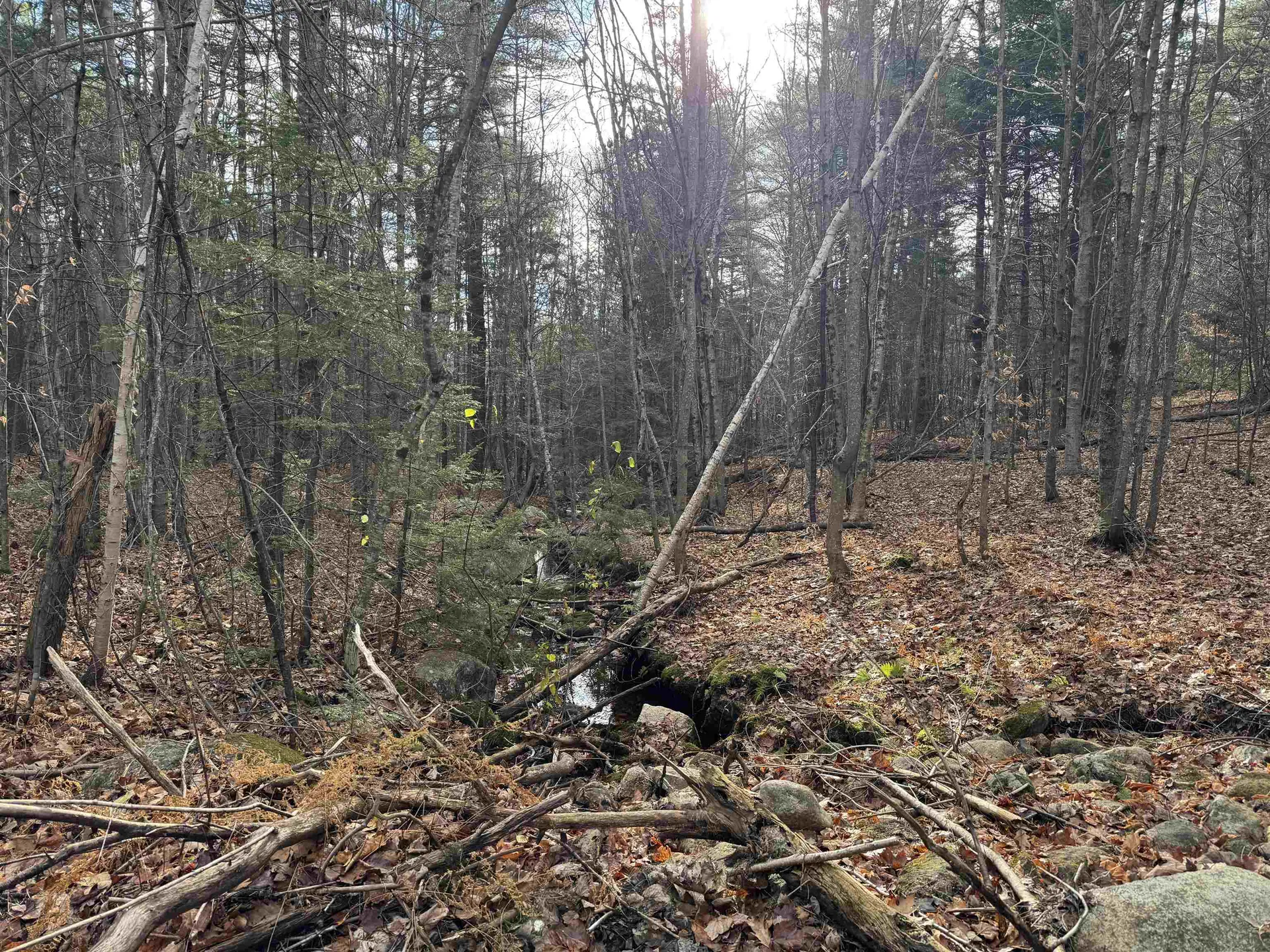 190 Circuit Road Ossipee NH 03864