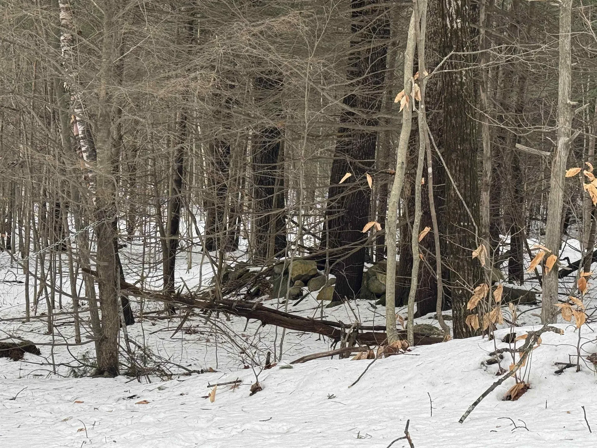 190 Circuit Road Ossipee NH 03864