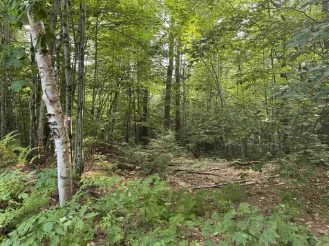 190 Circuit Road Ossipee NH 03864