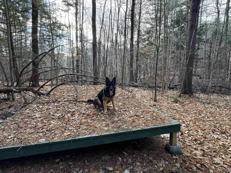 190 Circuit Road Ossipee NH 03864