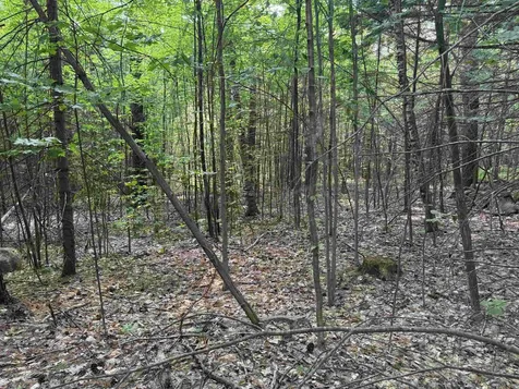 190 Circuit Road Ossipee NH 03864